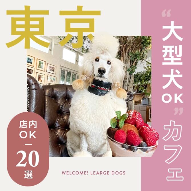大型犬店内OKカフェ東京20選｜2024年版
