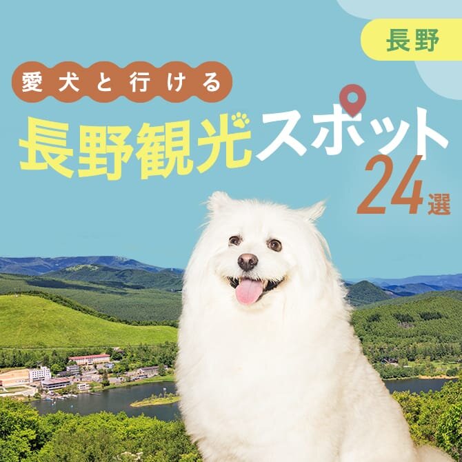 【長野の犬連れでいける観光スポット・ランチ 24選】長野で犬連れOKのおでかけスポット・ランチまとめ