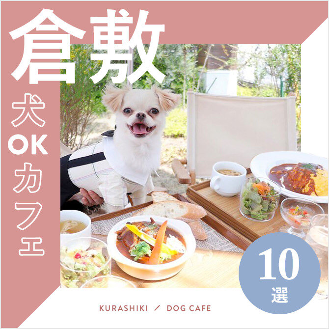 【倉敷の犬と行けるカフェ10選】ワンコメニューのあるカフェやドッグラン付きも！