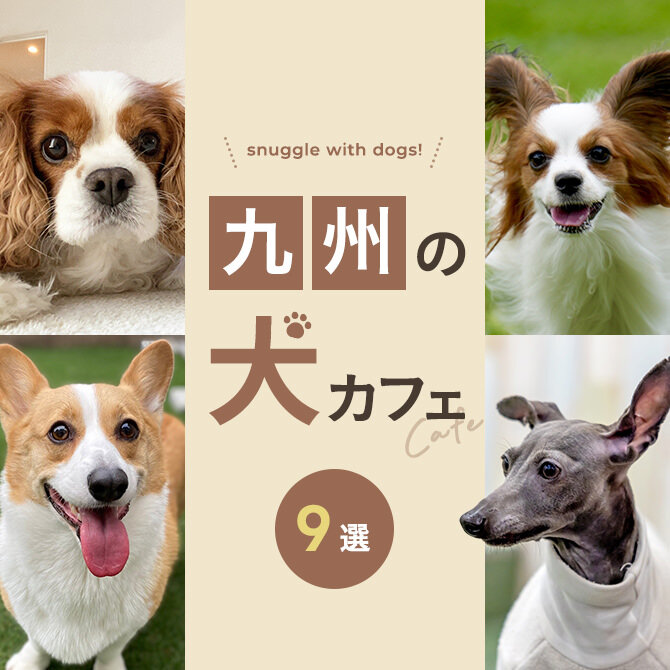 【九州の犬と触れ合える場所9選】犬カフェなど九州で犬と触れ合える場所
