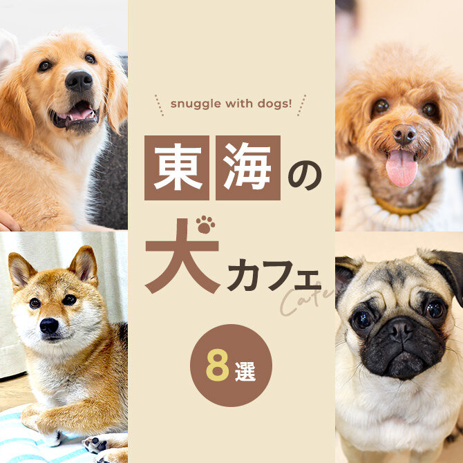 【東海の犬と触れ合える場所8選】犬カフェなど東海で犬と触れ合える場所