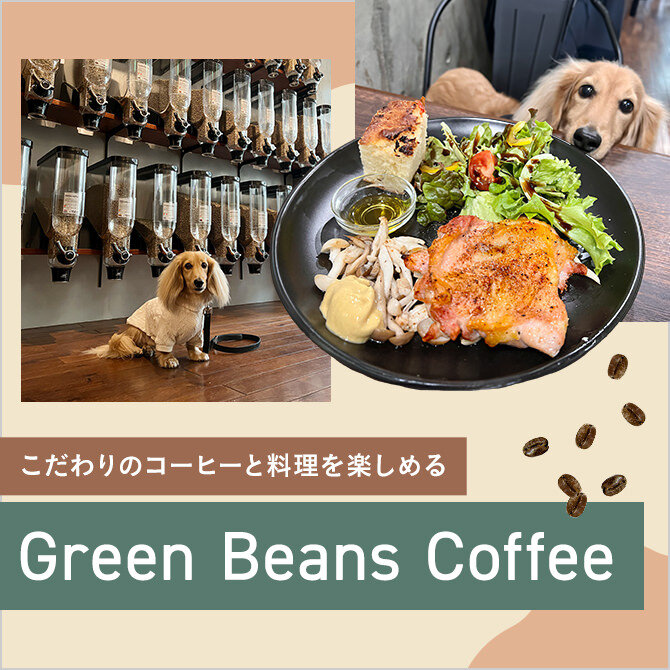 【北参道カフェ】大型犬店内OK「Green Beans Coffee」