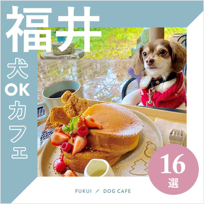 【福井ドッグカフェ・犬OKカフェ16選】室内ドッグラン付きやワンコメニューのあるカフェも！