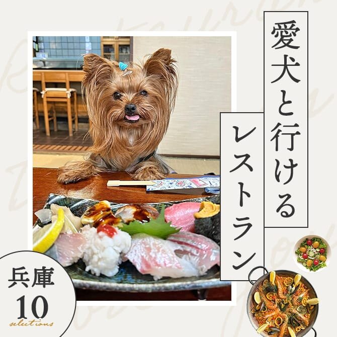【兵庫で犬と行けるレストラン10選】店内同伴OK！ワンコメニューのあるレストランも！