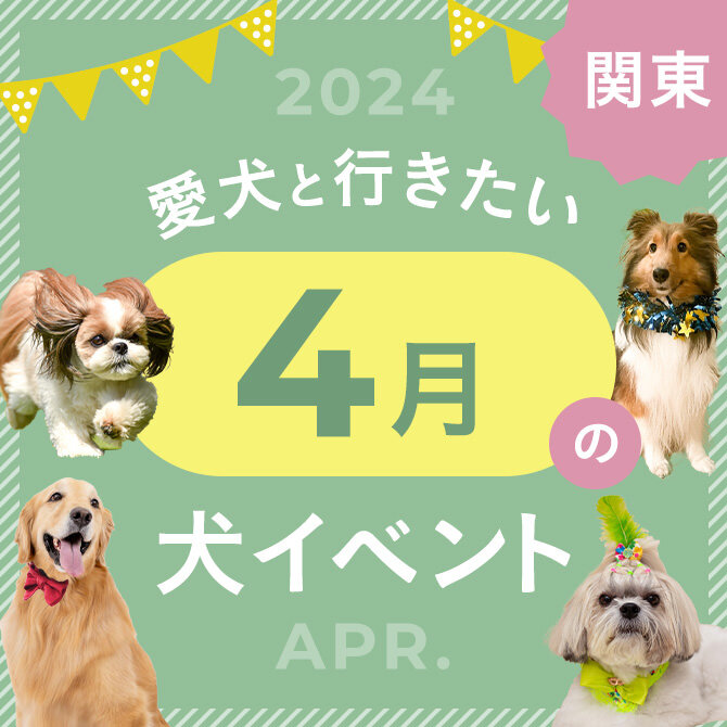 【2024年4月】関東で愛犬と行きたいドッグイベント18選