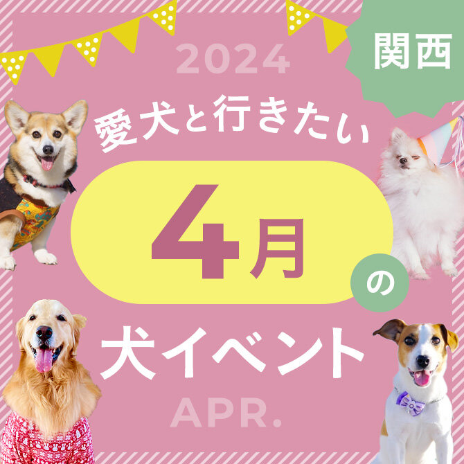 【2024年4月】関西で愛犬と行きたいドッグイベント11選