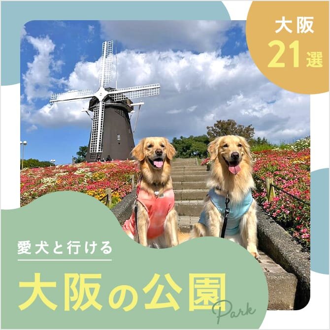 【大阪の犬と行ける公園21選】ドッグランのある公園やおでかけにおすすめな公園