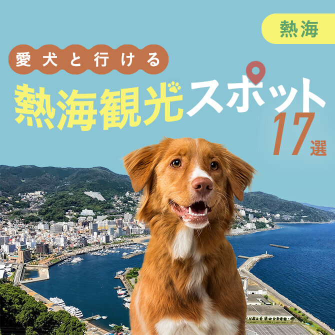 【熱海の犬連れ観光スポット17選】熱海で犬連れOKのおでかけスポット・ランチまとめ