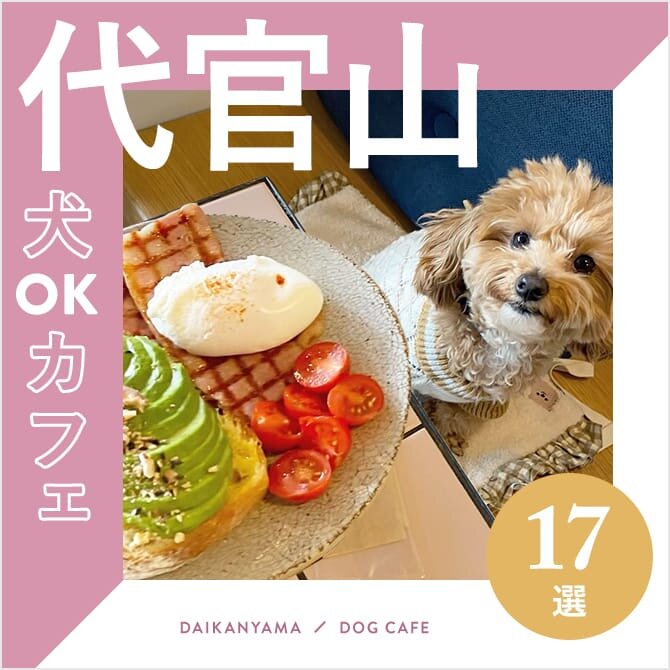【代官山の犬と行けるカフェ17選】ワンコメニューのあるカフェや大型犬店内OKなカフェも！