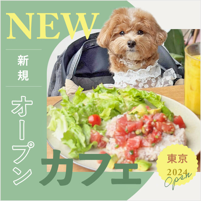 【2024年新規オープンカフェ】愛犬と行ける話題の最新カフェ