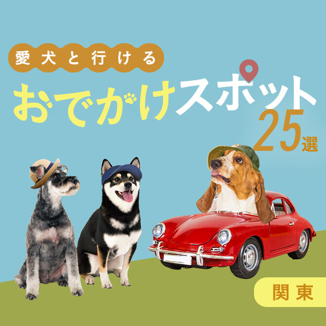 【関東の愛犬といけるお出かけスポット25選】愛犬連れで行ける人気の場所や施設をご紹介