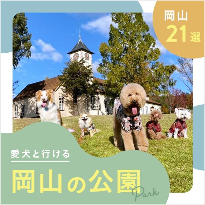 【岡山の犬と行ける公園21選】ドッグランのある公園やおでかけにおすすめな公園