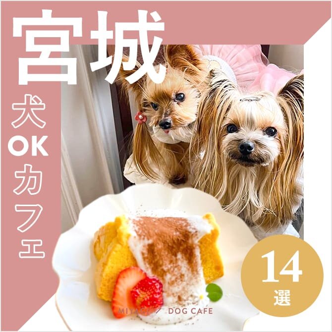 【宮城の犬と行けるカフェ14選】ワンコメニューのあるカフェや大型犬店内OKカフェも！