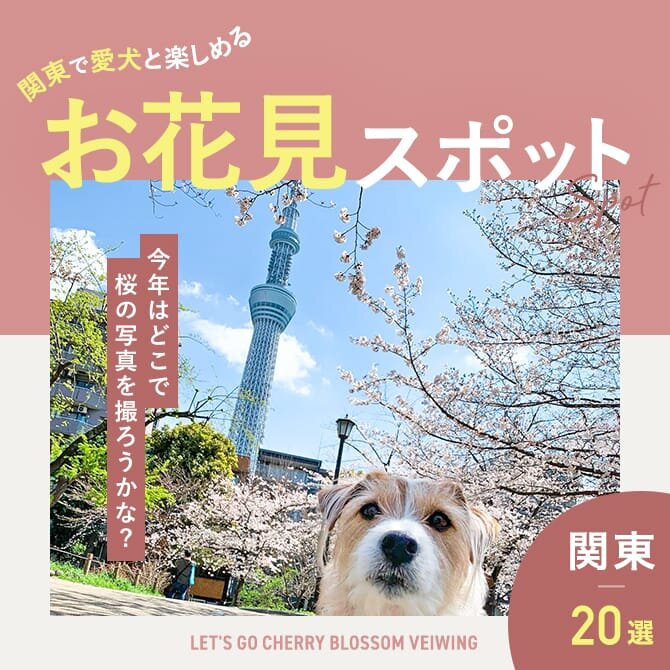 【関東】愛犬と桜が見れるお花見スポット20選！人気のお花見映えスポット