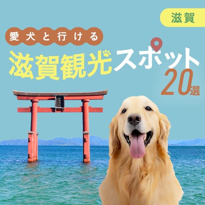 【滋賀の犬連れ観光スポット20選】滋賀で犬連れOKのおでかけ・ランチスポット