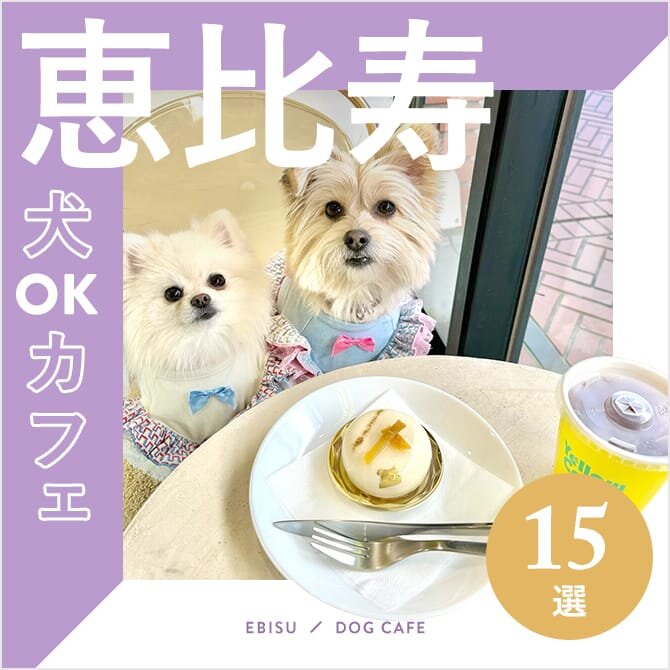 【恵比寿の犬と行けるカフェ15選】ワンコメニューのあるカフェや大型犬店内OKなカフェも！