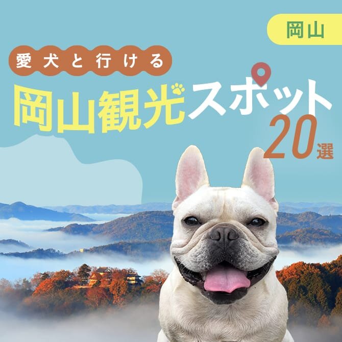 【岡山の犬といけるお出かけスポット20選】愛犬連れOKの観光スポット・施設まとめ
