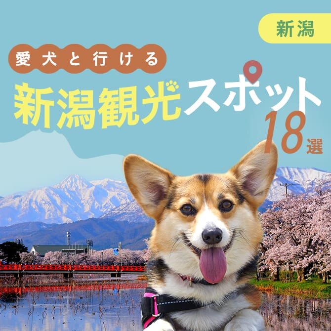 【新潟の犬といけるお出かけスポット18選】新潟の愛犬連れOKの観光スポット・施設まとめ
