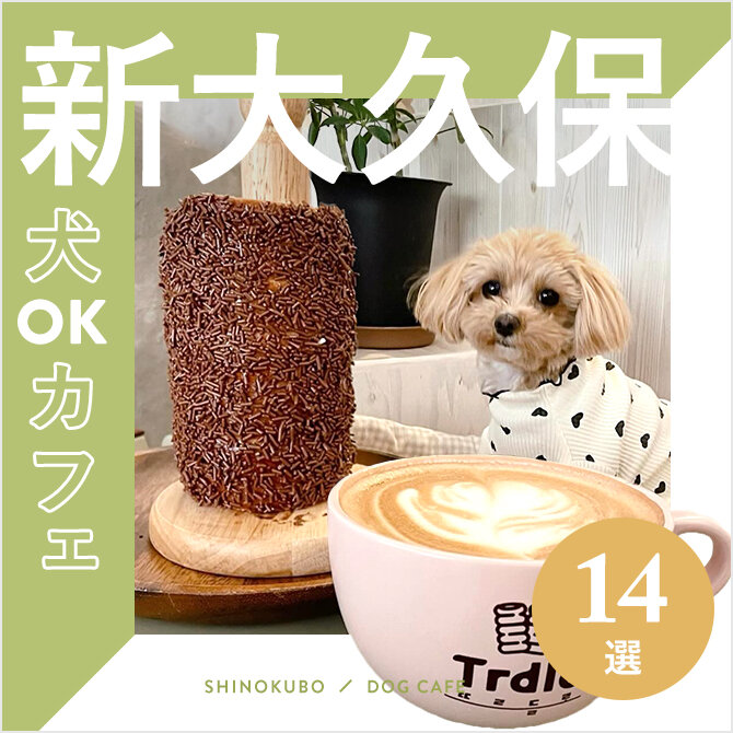 【新大久保のドッグカフェ・犬OKカフェ】おすすめカフェ14選｜2024年版
