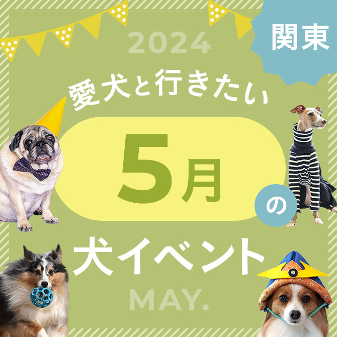【2024年版】関東で愛犬と行きたいドッグイベント情報