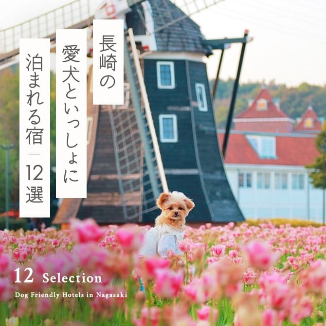 【長崎の犬と泊まれる宿12選】長崎のペットと泊まれる宿｜2024年最新版