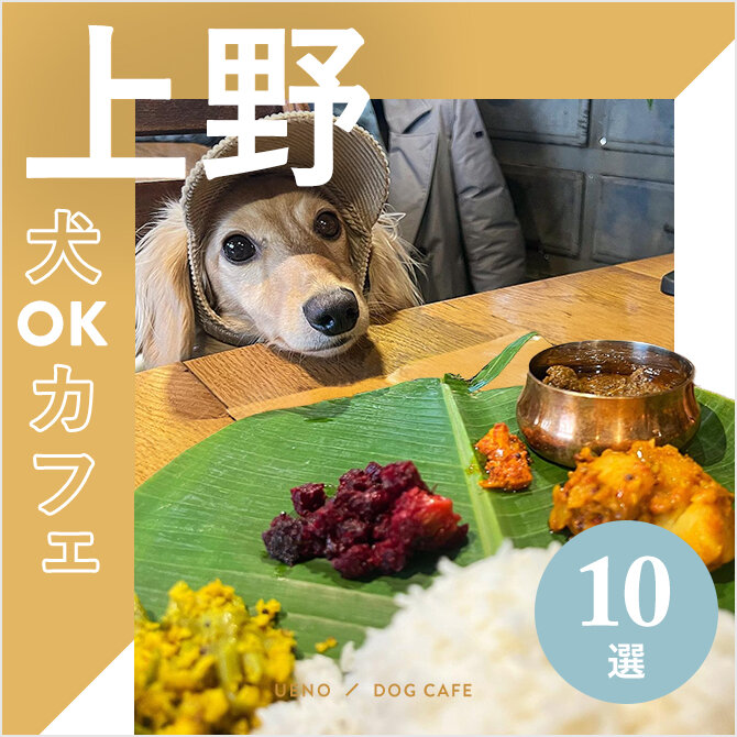 【上野の犬と行けるカフェ10選】ワンコメニューのあるカフェや大型犬同伴OKなカフェも！
