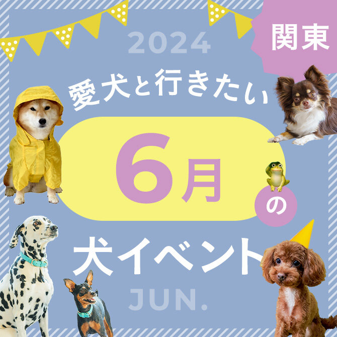 【2024年6月】関東で愛犬と行きたいドッグイベント15選