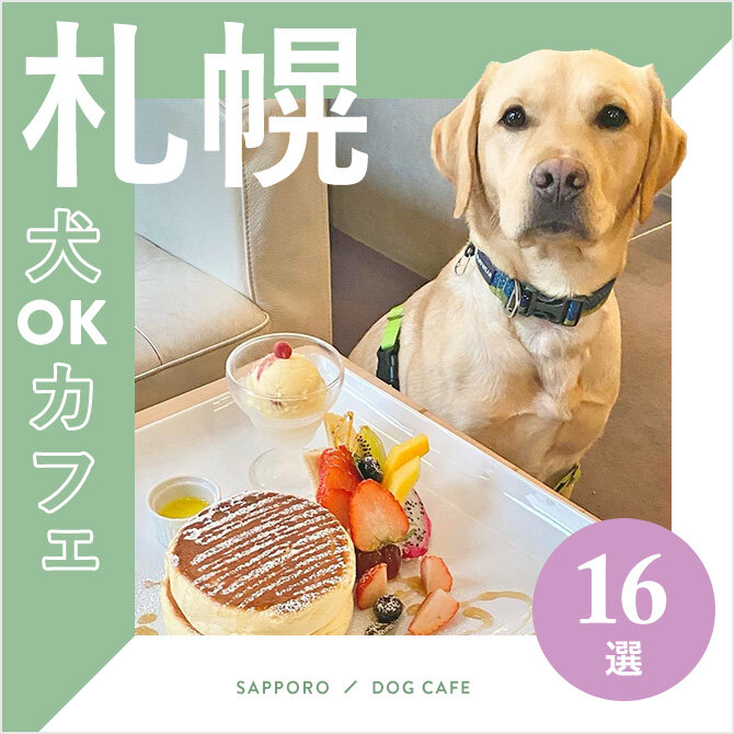 【札幌ドッグカフェ・犬と行けるカフェ16選】ワンコメニューのあるカフェや大型犬同伴OKなカフェも！