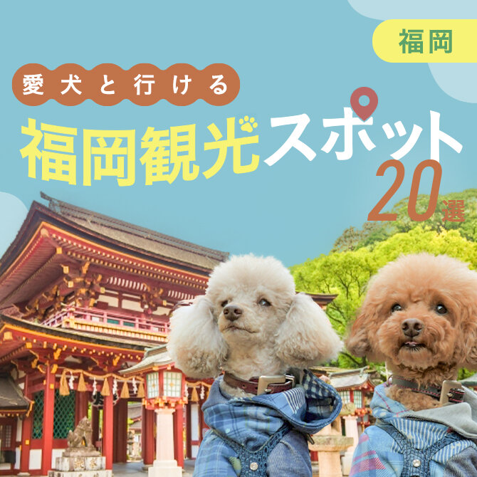 【福岡の愛犬といけるお出かけスポット20選】ペット連れ・愛犬連れOKの人気観光スポット・施設