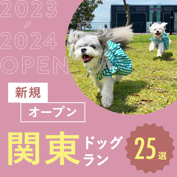 【新規オープンのドッグラン25選】関東で新しく開設されたドッグラン！ドッグカフェやスタジオ併設も！