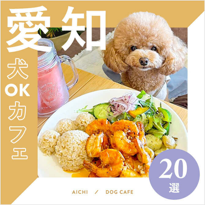 【愛知ドッグカフェ20選】大型犬店内同伴OKやドッグラン併設も！｜2024年版