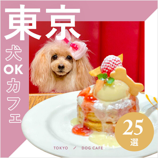 【東京都内 ドッグカフェ25選】愛犬同伴・店内OKの都内ドッグカフェ｜2024最新版
