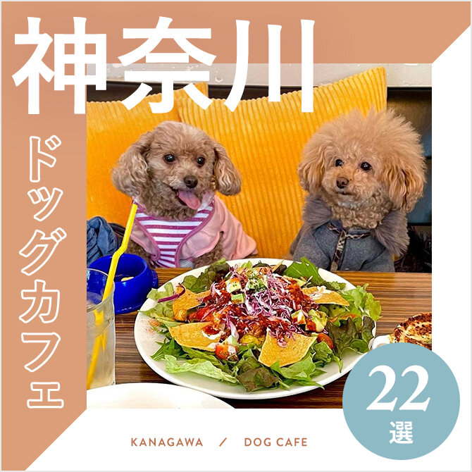 【神奈川 ドッグカフェ22選】神奈川の犬連れ・ペット同伴OKカフェ。大型犬店内OKも｜2024年版