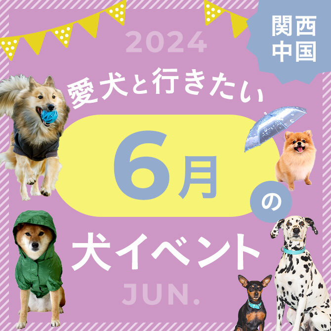 【2024年6月】関西で愛犬と行きたいドッグイベント11選