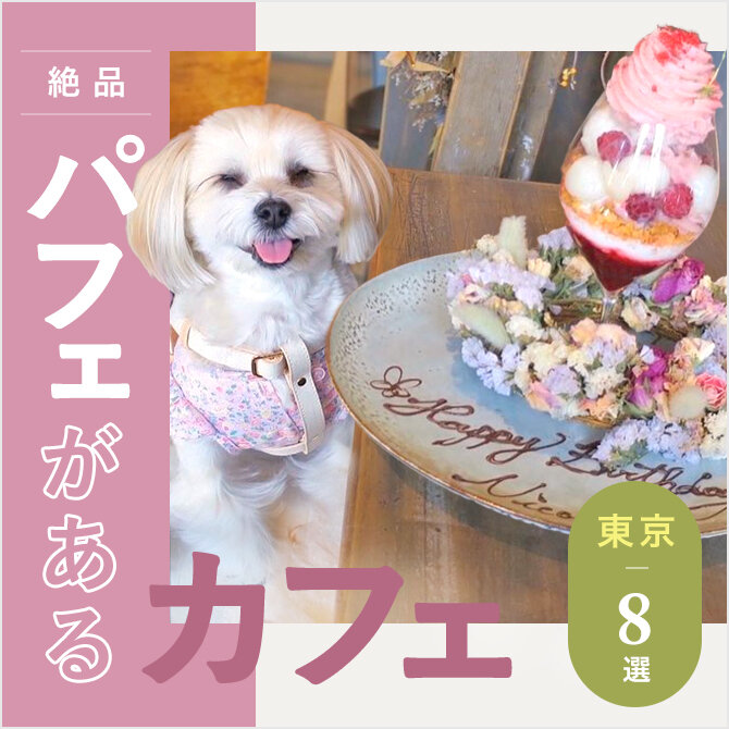 【東京の人気パフェ8選】愛犬と行けるカフェ｜2023年版