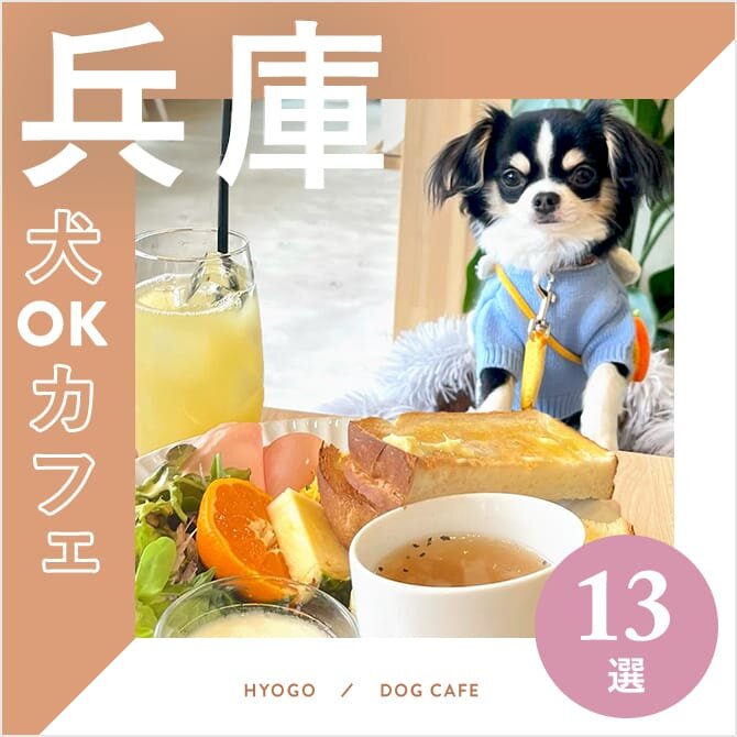 【兵庫のドッグカフェ・犬と行けるカフェ13選】大型犬店内同伴OKやドッグラン併設も！
