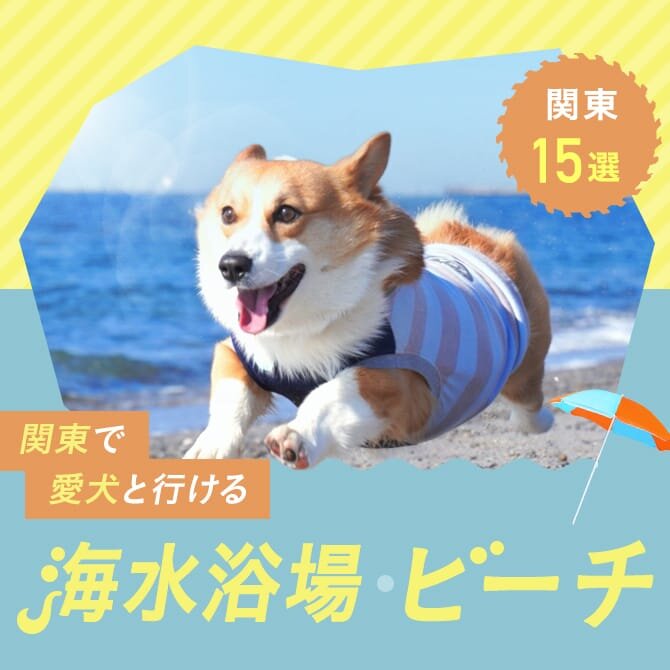 【関東の犬といける海水浴場・ビーチ15選】犬連れ・ペットOKの海水浴場、。海に行く際の注意点も解説！