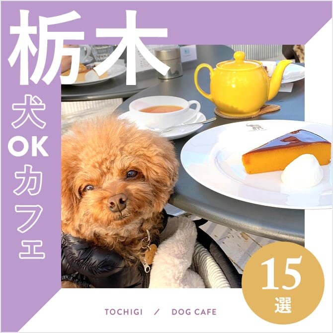 【栃木ドッグカフェ・犬と行けるカフェ15選】ワンコメニューのあるカフェや大型犬同伴OKなカフェも！