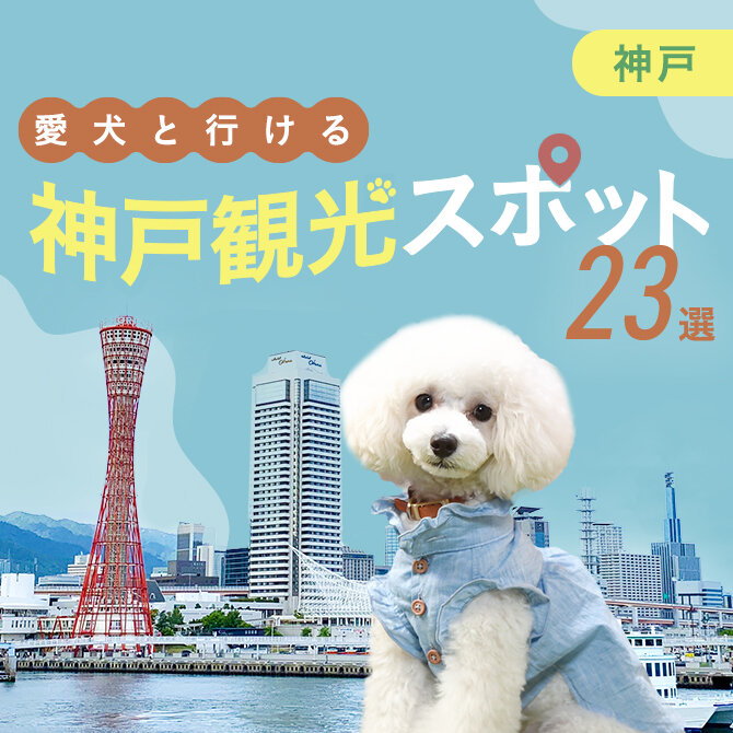 【神戸の犬連れでいける観光スポット23選】神戸の犬といけるお出かけスポット・ランチ！