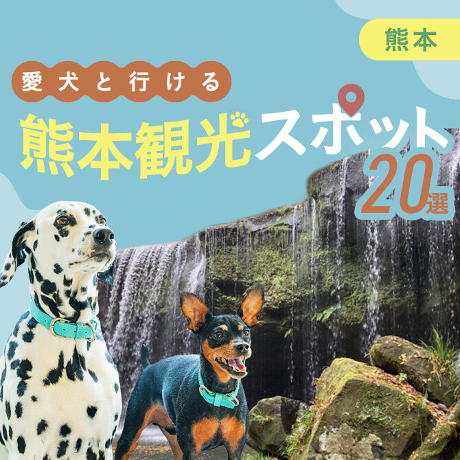 【熊本の犬連れでいける観光スポット20選】熊本の犬といけるお出かけスポット｜2024年最新版