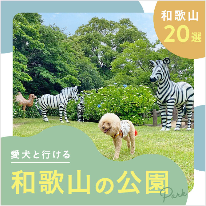 【和歌山の犬と行ける公園20選】ドッグランのある公園やおでかけにおすすめな公園