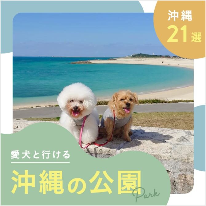 【沖縄の犬と行ける公園21選】ドッグランのある公園やおでかけにおすすめな公園