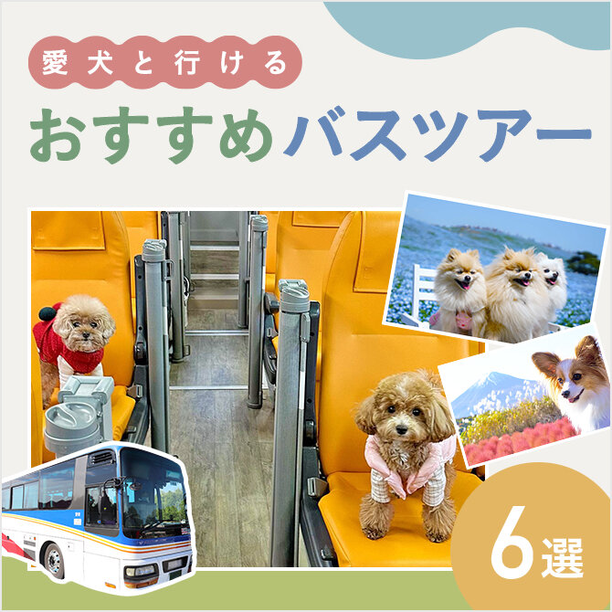 【犬と行けるバスツアー6選】ワンコと行ける人気バスツアーまとめ2024年版｜大型犬OKも！