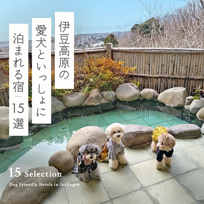 【伊豆高原の犬と泊まれる宿15選】伊豆高原で人気のペットと泊まれる宿｜2024年最新