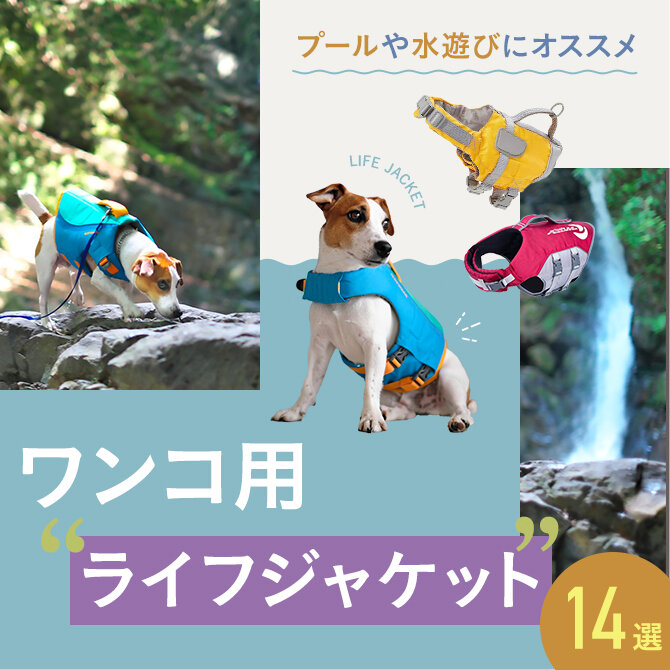 【犬用ライフジャケット14選】プールや海・川遊びにおすすめな犬用ライフジャケット