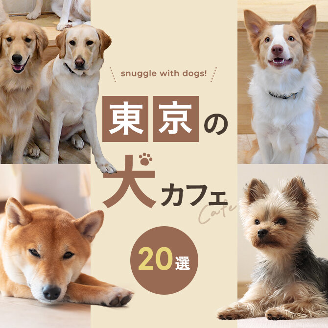 【東京 犬カフェ20選】東京で人気の犬カフェ！大型犬と触れ合えるカフェも