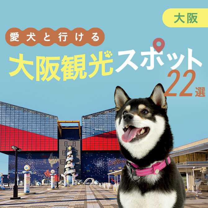 【大阪の愛犬といけるお出かけスポット22選】愛犬連れOKの人気スポット・施設まとめ