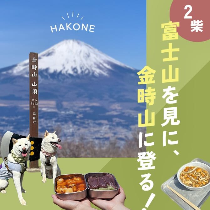 【神奈川県箱根 金時山】愛犬と行く、富士山が見える山「金時山」登山！