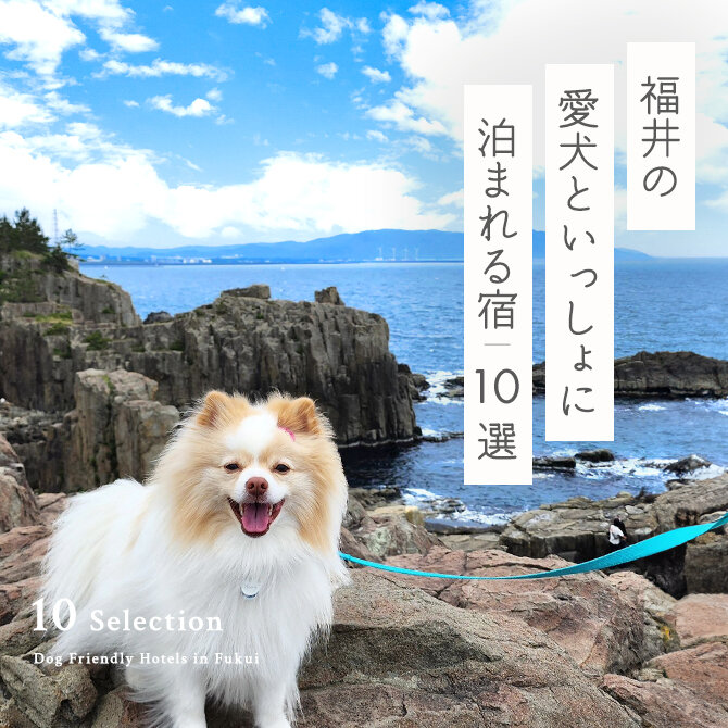 【福井の犬と泊まれる宿10選】福井で人気のペットと泊まれる宿|2024年最新