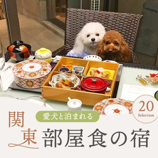 【部屋食ができる犬と泊まれる宿 関東20選】関東で部屋食OKのペットと泊まれる宿｜2024年最新版